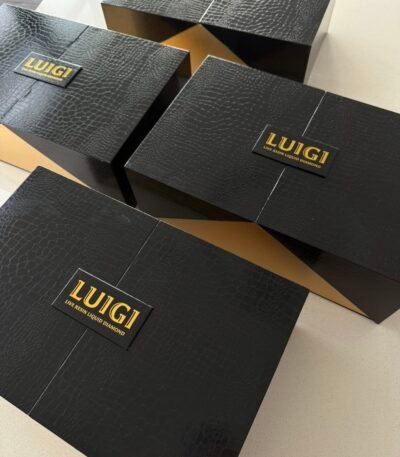 Luigi V4 Disposable