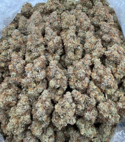 Kosher Kush Strain