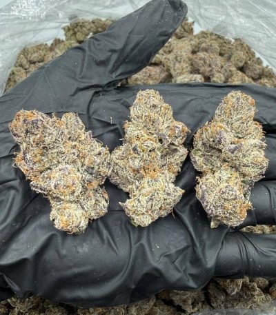 Super Runtz Strain
